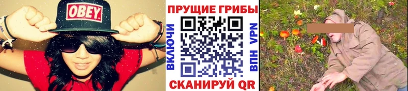 Галлюциногенные грибы прущие грибы  Далматово 