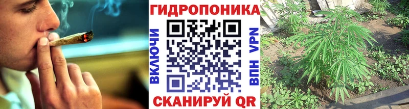 Шишки марихуана SATIVA & INDICA  блэк спрут ТОР  Далматово 